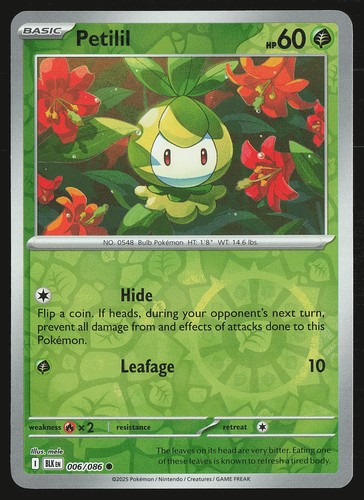 Carta pokemon black - carta, bolt