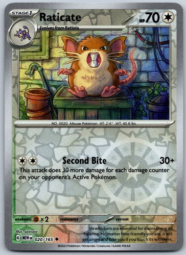 Raticate reverse holo - holo, uncommon