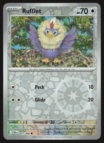 Black bolt rufflet - sv:,