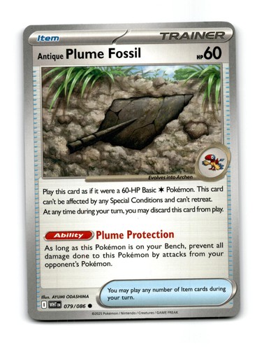 Antico plume fossil - plume,