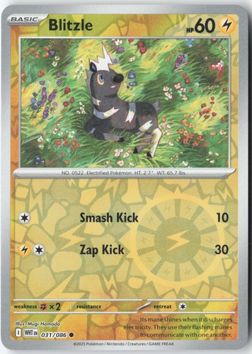 Blitzle common white flare - sv:,