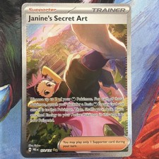 Janine's Secret Art 173/131 -